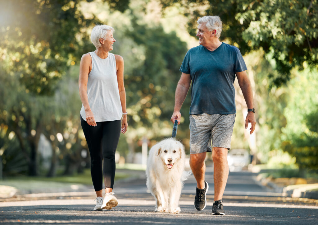 Retirement, fitness and walking with dog and couple in neighborhood park for relax, health and sports workout. Love, wellness and pet with old man and senior woman in outdoor morning walk together.
